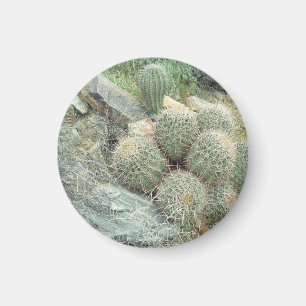 Imã Saguaro Swirl Cactus Refrigerator Magnet