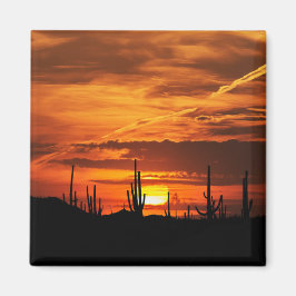 Imã Saguaros Cênicos ao pôr do sol