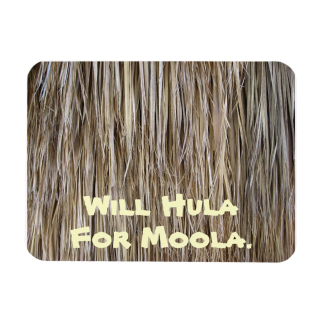 Ímã Saia Legal Naturalmente Surfaces_Palm Tree Hair_Hu (Horizontal)