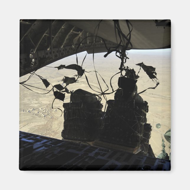 Imã Saída de pacotes do Sistema de Entrega de Contêine (Frente)