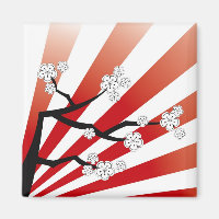 Sakura Sunrise White Cherry Blossoms Flores Zen