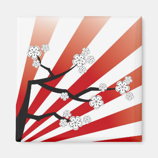 Imã Sakura Sunrise White Cherry Blossoms Flores Zen
