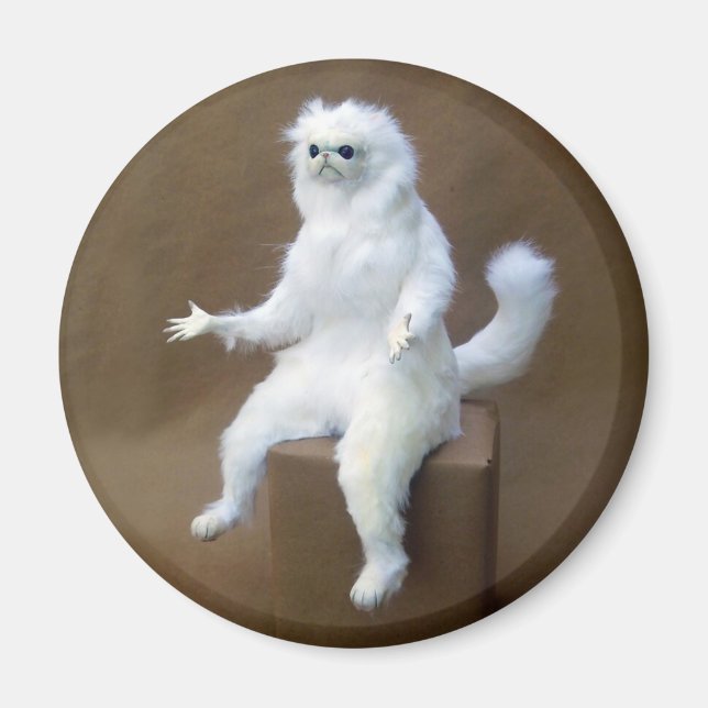 Imã Sala Guardião Memória Magnet (Frente)