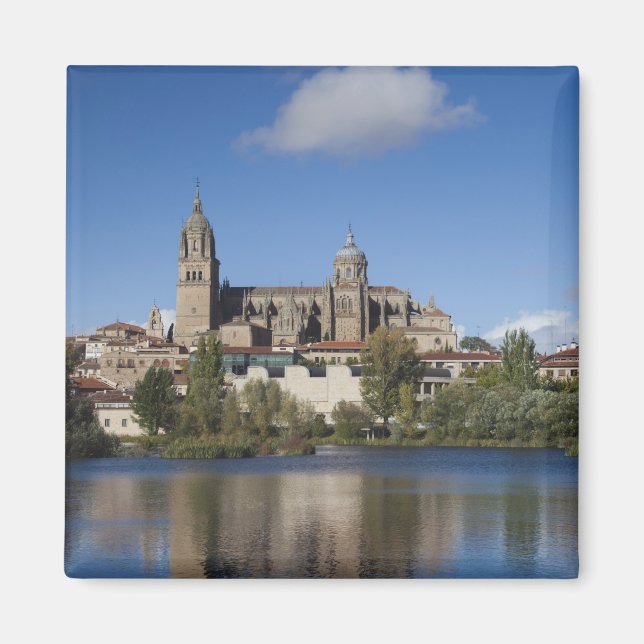 Imã Salamanca Cathedrals e a cidade (Frente)