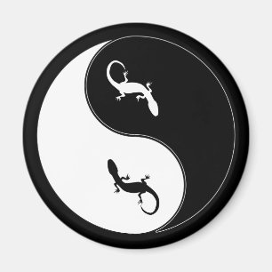 Imã Salamandra de Yin Yang