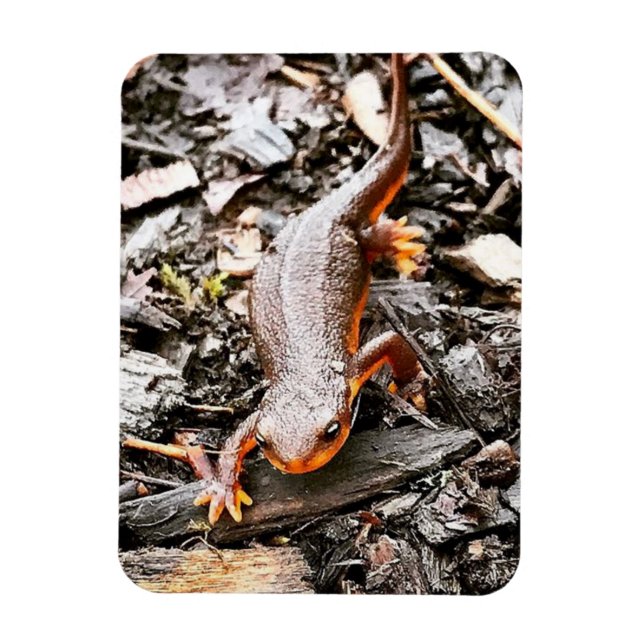 Ímã Salamandra na Floresta (Vertical)