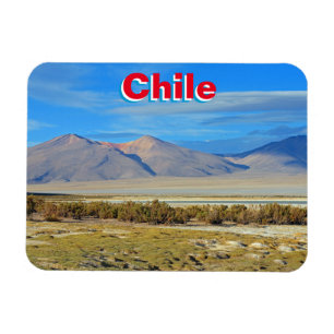 Ímã Salar del Huasco, Chile