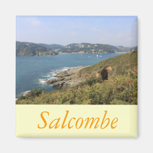 Imã Salcombe, Devon