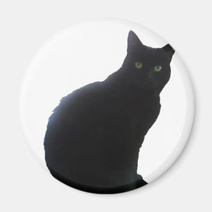 Imã Salgueiro o gato preto
