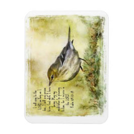 Ímã Salm 104 Magnet