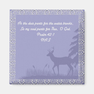 Imã Salm 42 - Magnet