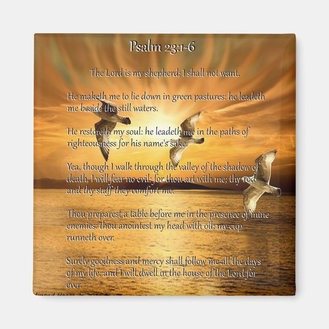 Imã Salmo 23:1-6 O Senhor É Meu Shepard (Frente)