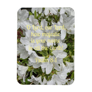 Ímã Salmo 8:1 O Senhor, nosso Senhor, quão majestoso é