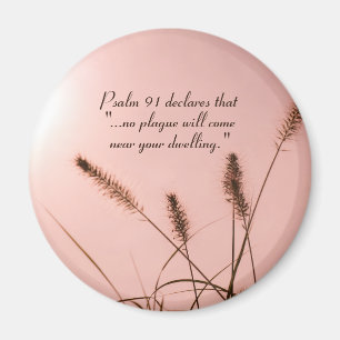 Imã Salmo 91 Nenhuma praga chegará perto da sua morad