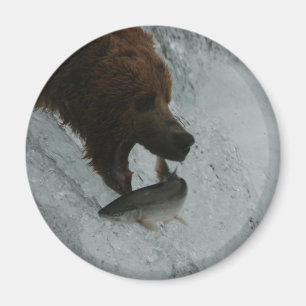 Imã Salmões de travamento do urso de Alaska