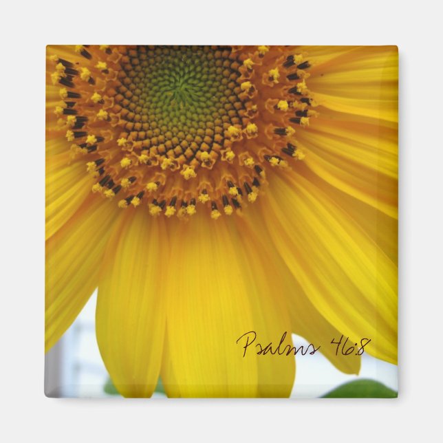 Imã Salmos 46:8 (Frente)