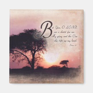 Imã Salms 3:3 / Encorajamento Verso Bíblia