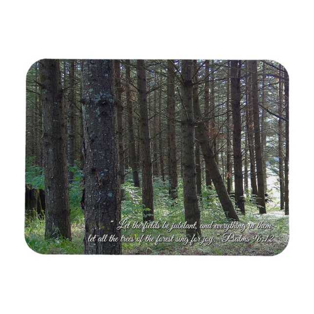 Ímã Salms 96:12 Inspiracional (Horizontal)