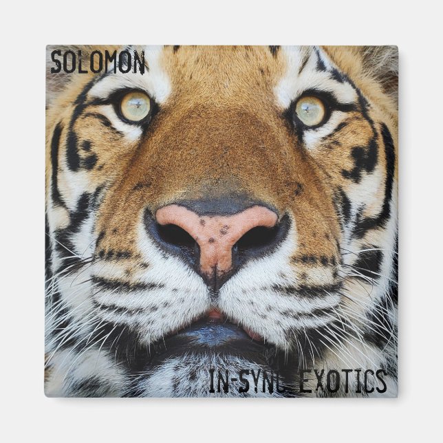 Imã Salomão - (Frente)