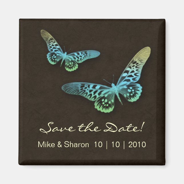 Imã Salon Spa Butterfly Magnet Brown Blue (Frente)