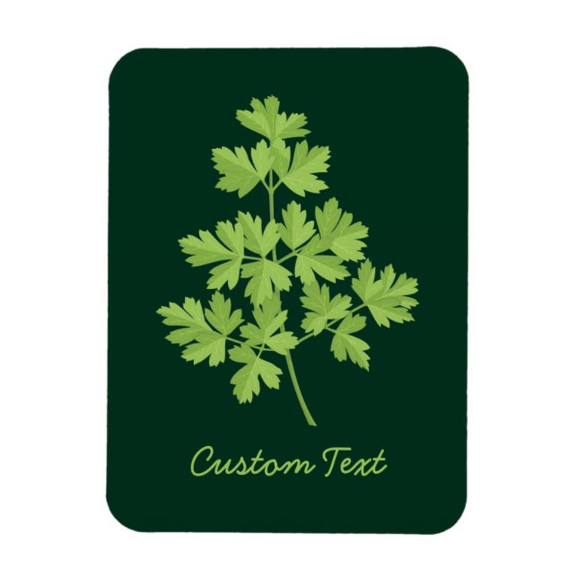 Ímã Salsa (Vertical)