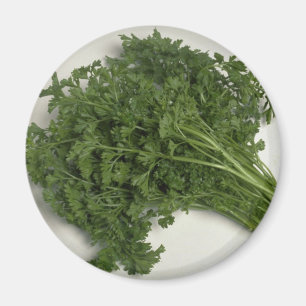 Imã Salsa deliciosa