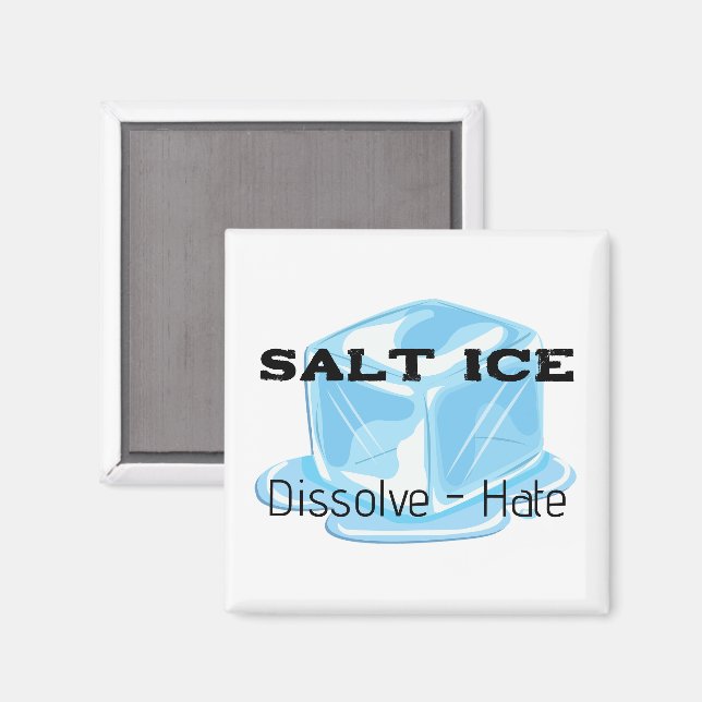 Imã Salt Ice Magnet (Front/Back)