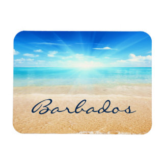 Ímã Salto de sol da praia de Barbados
