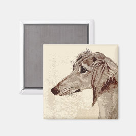 Imã Saluki