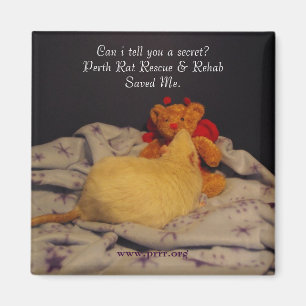 Imã Salvamento de Milko