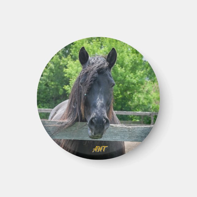 Imã Salvamento em cavalos AHT (Frente)