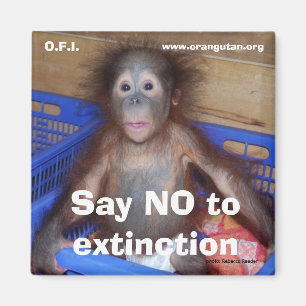 Imã Salvar a conservação dos animais selvagens