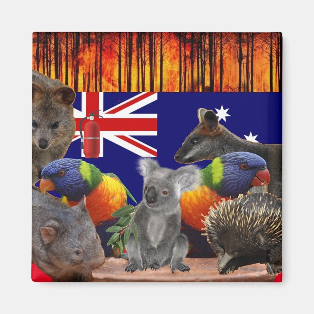 Imã Salvar Nossas Casas - Extinção (Frente)