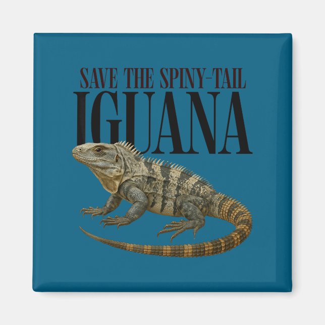 Imã Salvar o Design de Réptil de Iguana de Cauda Espin (Frente)