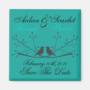 Imã SALVAR o ÍMÃ AZUL do CASAMENTO da DATA -