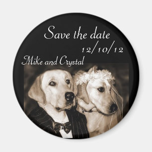 Imã Salvar o ímã do casal do casamento do cão da da