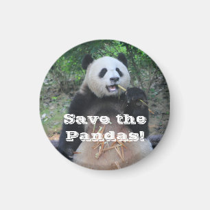 Imã Salvar os Ímãs dos Pandas Gigantes