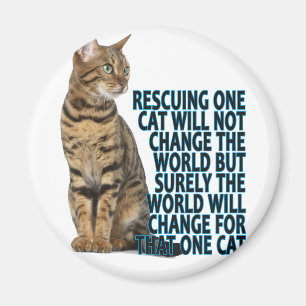 IMÃ SALVAR UM CAT NÃO MUDARÁ O MUNDO MAS SUR