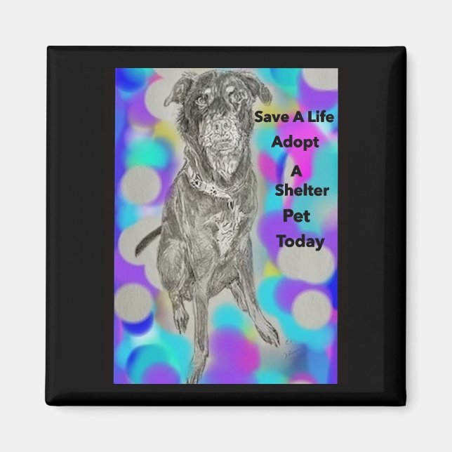 Imã Salvar Um Magnete De Mensagem De Pet Life (Frente)