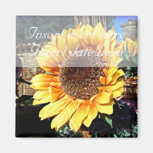 Imã salve a data boreal