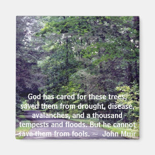 Imã Salve-nos de Tolos - ímã