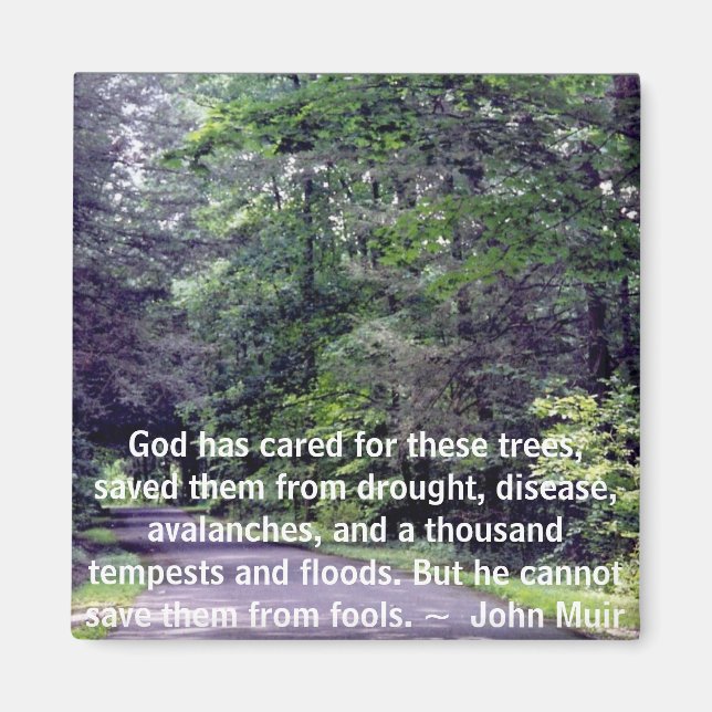 Imã Salve-nos de Tolos - ímã (Frente)