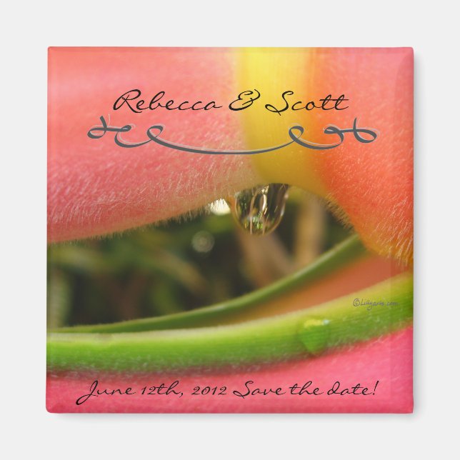 Imã salve o dia Personalizadas Para Casamentos (Frente)