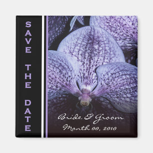 Imã salve o dia roxo da orquídea