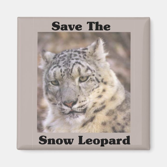 Imã Salve o Leopardo da Neve (Frente)