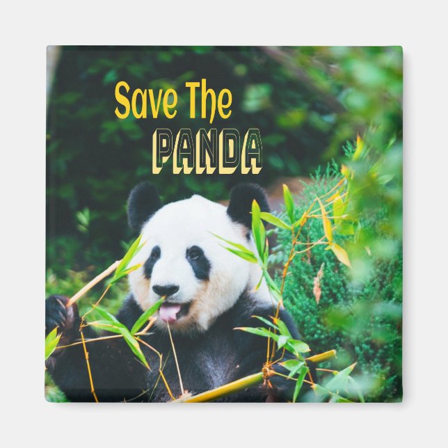 Imã Salve O Panda (Frente)