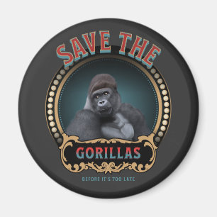 Imã Salve Os Gorilas Espécies Ameaçadas
