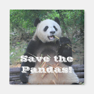 Imã Salve os Ímãs de Pandas Gigantes