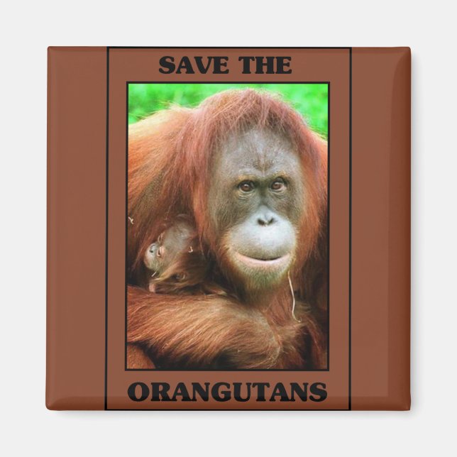 Imã Salve os Orangutanos (Frente)