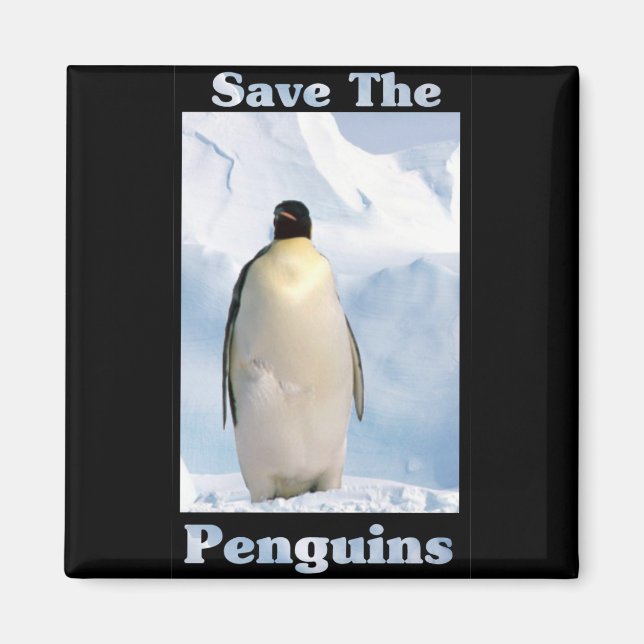 Imã Salve os pinguins (Frente)